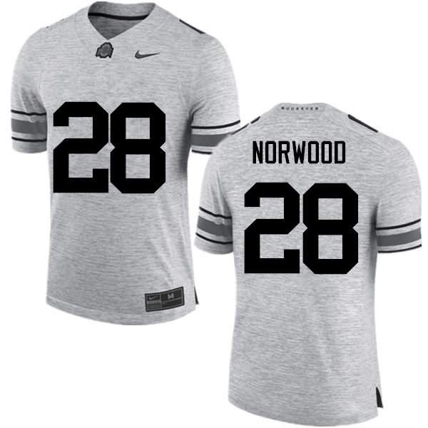 Men's Nike Ohio State Buckeyes Joshua Norwood #28 Gray College Football Jersey For Fans MEU42Q1A