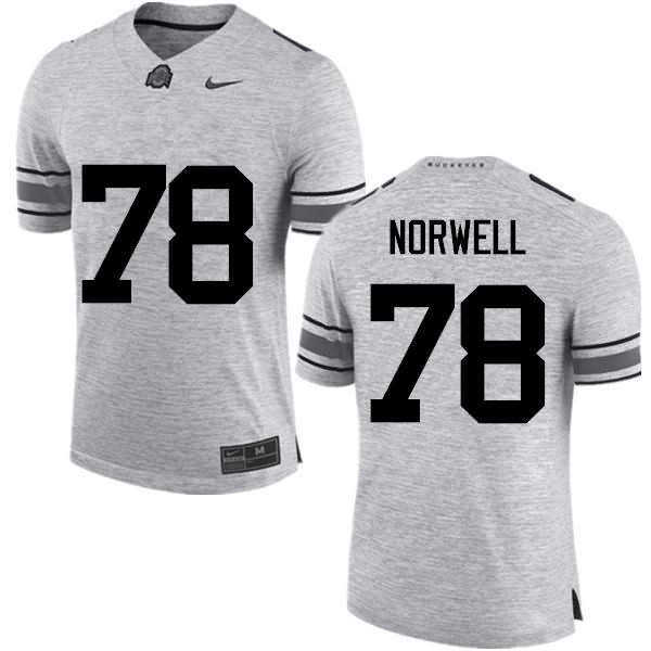 Men's Nike Ohio State Buckeyes Andrew Norwell #78 Gray College Football Jersey Holiday YRB64Q4M