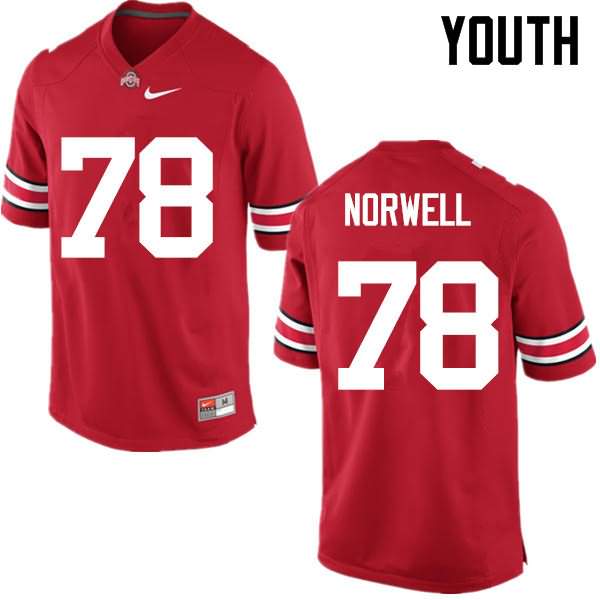 Youth Nike Ohio State Buckeyes Andrew Norwell #78 Red College Football Jersey Colors NXG21Q7J